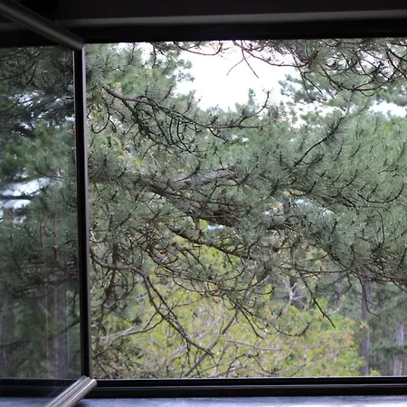 Tara3m And Kaludjerske Bare