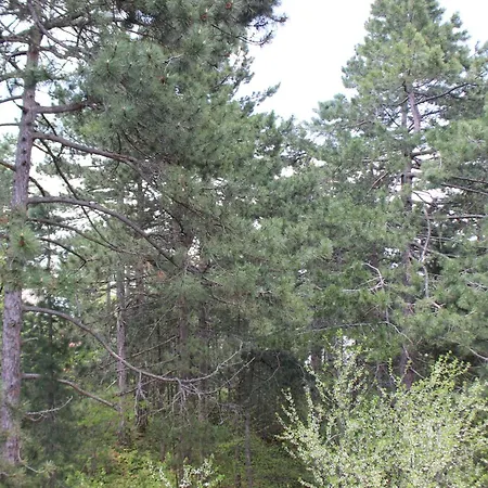 Tara3m And 3* Kaludjerske Bare