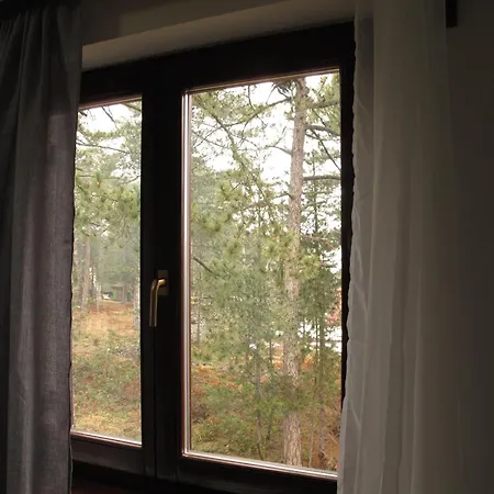 Tara3m And Kaludjerske Bare