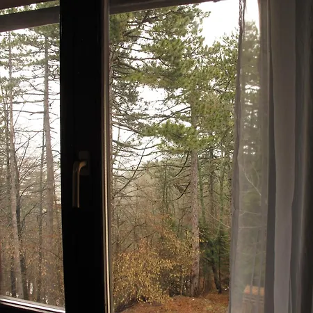 Πανσιόν Tara3m And Kaludjerske Bare